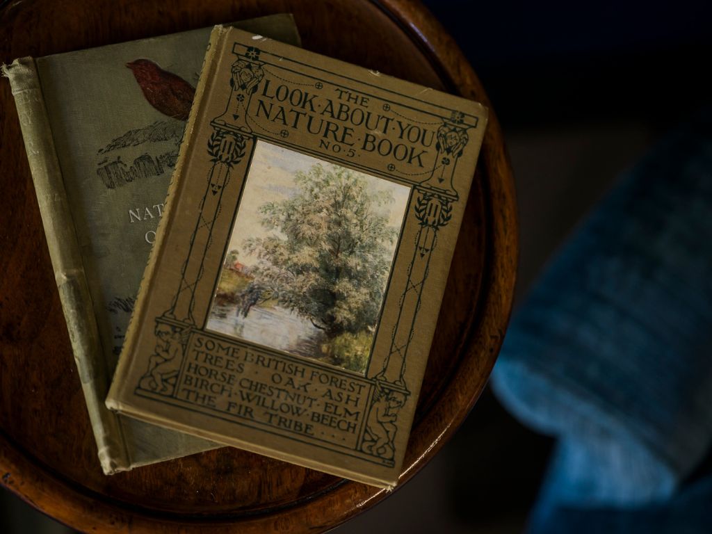 Earl of Bolingbroke Suite, books